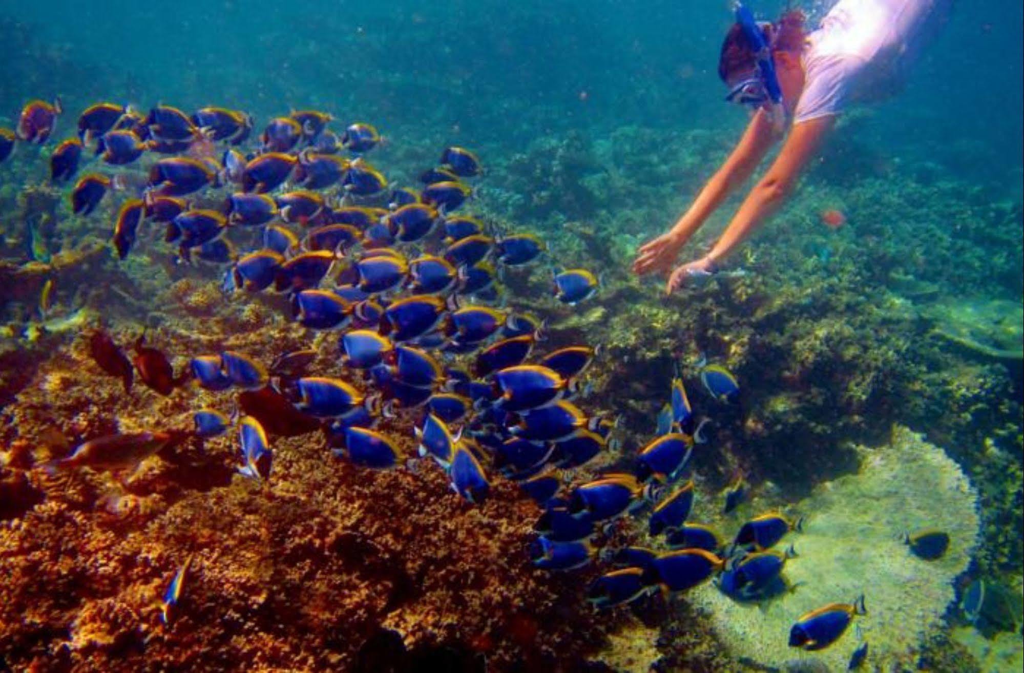 Hotel Octave Maldives Μαλέ Εξωτερικό φωτογραφία